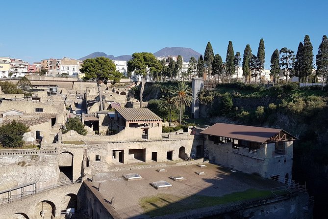 Vesuvius and Herculaneum Day Trip from Naples with Skip the Line - Naples transportation, English-speaking drivers, and the real vibe