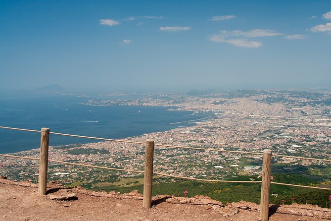 Vesuvius and Herculaneum Day Trip from Naples with Skip the Line - Who should book this Vesuvius and Herculaneum trip