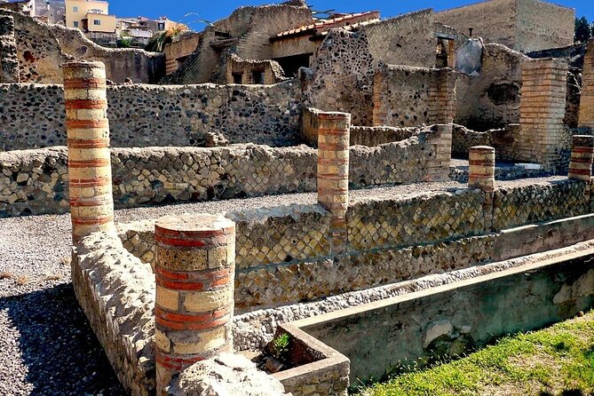 Vesuvius and Herculaneum Day Trip from Naples with Skip the Line - Should you book this day trip from Naples?