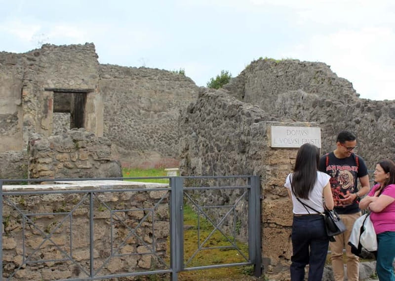 Vesuvius and Pompeii Tour from Naples All Included - Getting from Naples: pickup, private driver, and car or minivan