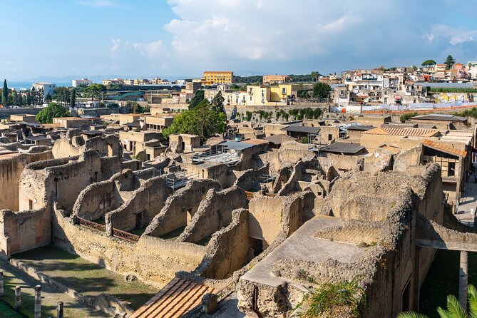 Vesuvius & Herculaneum Small Group Tour from Naples - Key things to know before you book