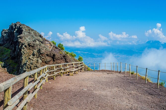 Vesuvius & Herculaneum Small Group Tour from Naples - Price, tickets, and whether the value feels fair