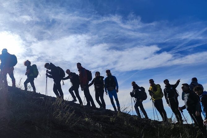Vesuvius, V.I.P. the only Tour with Volcanological Guide - Key things to know before you go