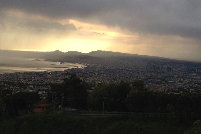 Vesuvius, V.I.P. the only Tour with Volcanological Guide - Starting at Quota 1000 and setting your pace