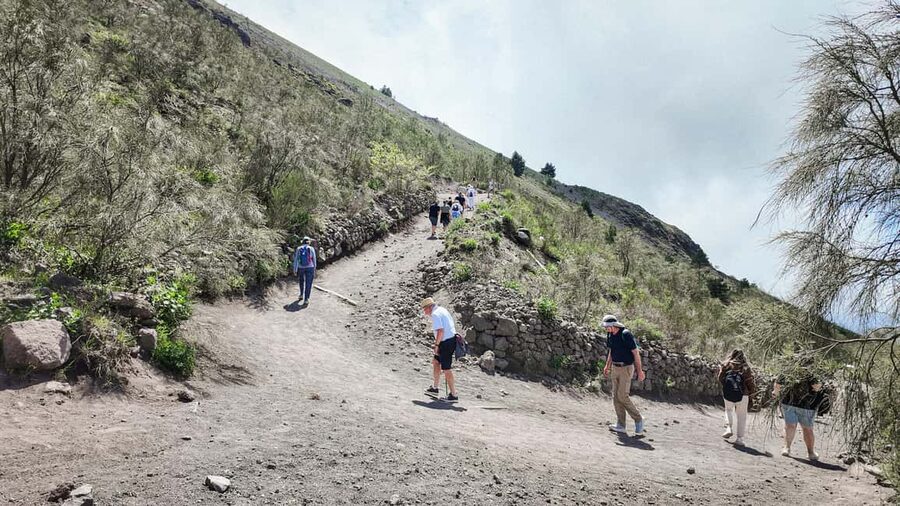Vesuvius Volcano Experience: from Naples, Pompeii and Rome - Booking rhythm and tickets: what to do the day before