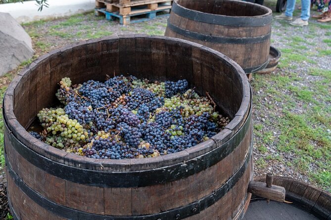 Vesuvius Wine Tasting Experience with Lunch Included - Olive oil and DOP vinegar dressing: the pairing that clicks fast