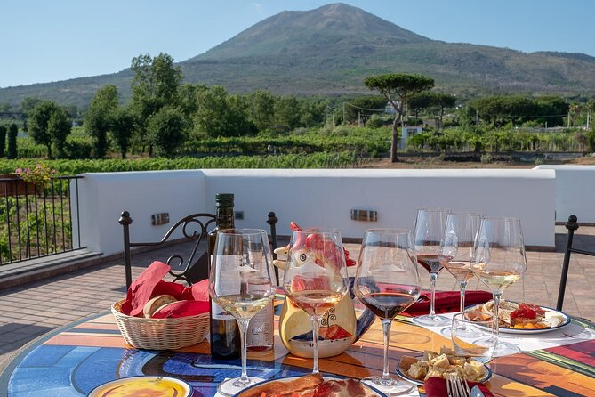 Vesuvius Wine Tasting Experience with Lunch Included - The wine tasting: what five pours should feel like