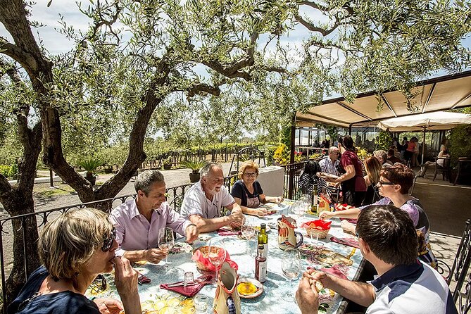 Vesuvius Wine Tasting Experience with Lunch Included - The 2-hour rhythm: vineyards, production stops, then a full table