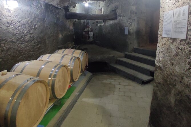 Vesuvius wine tasting with company tour - Why This Vesuvius Wine Tasting Feels Special (In Practice)
