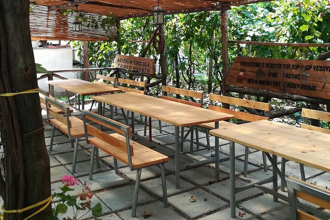 Vesuvius wine tasting with company tour - Timing, Weather, and How to Plan Around the Volcanic Setting