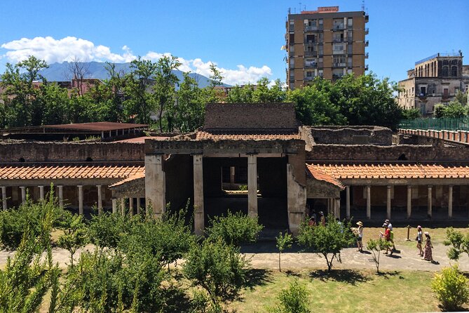 Villa Oplontis & Stabiae: discover the Hidden Treasures with your Archaeologist - Key Points You’ll Care About