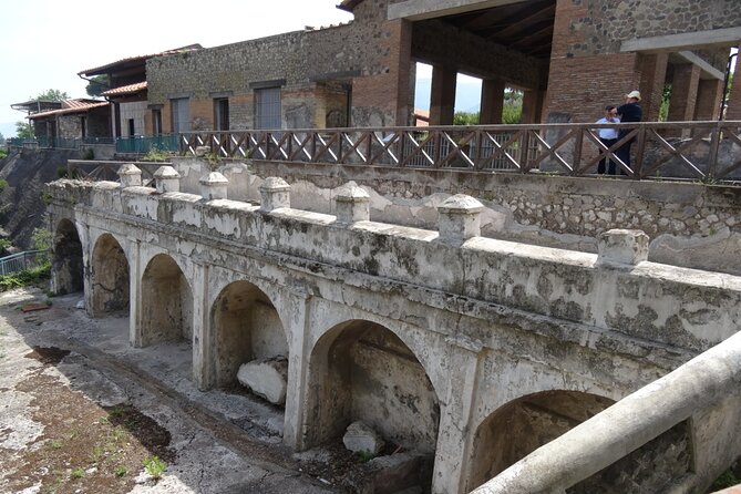 Ville di Stabiae (Transfer from Castellammare di stabia+guide) - Who should book this Stabiae villa tour