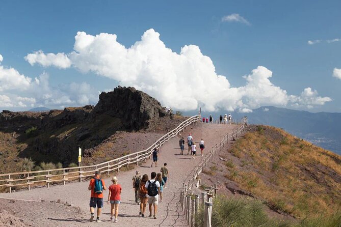 Vintage Van Experience: Tour and Transfer to Mt. Vesuvius - Pickup zones around Naples, and the 30-minute window