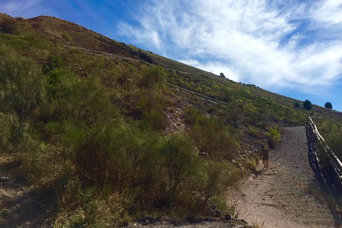 Vintage Van Experience: Tour and Transfer to Mt. Vesuvius - Inside Vesuvius National Park: guided crater walking that matters