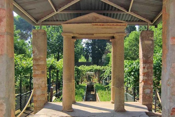 VIP Pompeii Tour including Newly Opened Houses With Archaeologist - The Domus portion: newly opened houses and rotating interiors