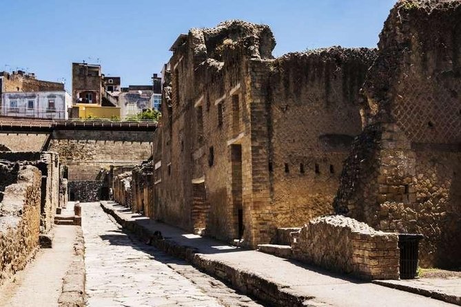 Visit Herculaneum with an expert professional guide (2/3 hours) - Taste breaks and local flavors: more than a quick snack