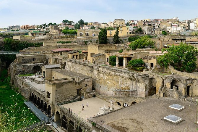 Visit Herculaneum with an expert professional guide (2/3 hours) - Price and value: what $106.46 really covers