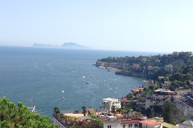 Visit in Pompeii - Naples Private Tour with Ada - Practical tips for a smooth 2.5 hour day