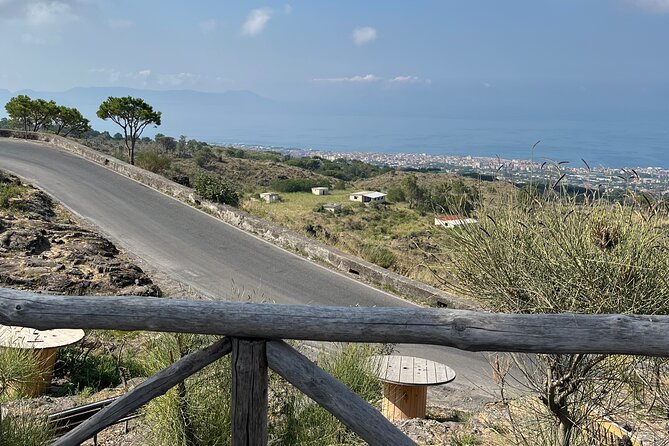 Visit Mt Vesuvius & Pompeii skip the line tickets from naples - The itinerary reality check: timing, groups, and what can go sideways