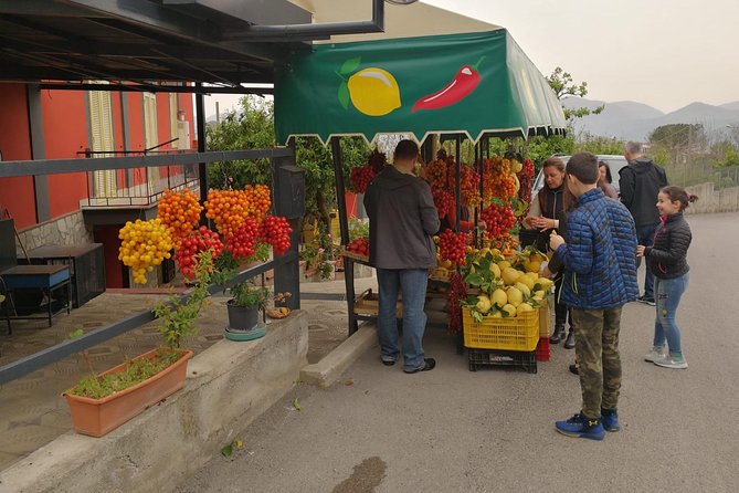 Wine & Food Tour at the Vesuvius Winery - Vesuvius National Park stop for about two hours
