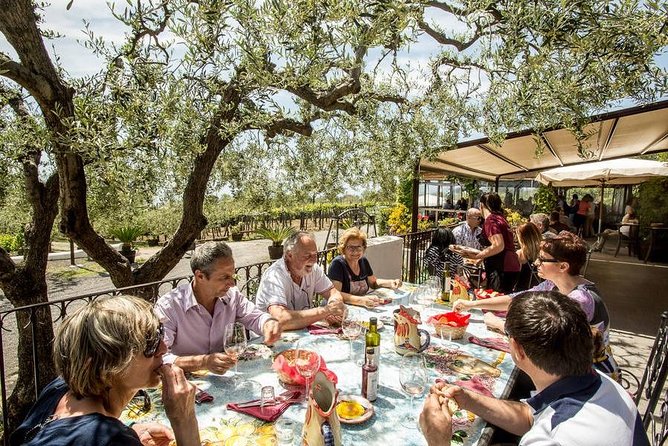 Wine & Food Tour at the Vesuvius Winery - Walking the Vesuvius Winery grounds on a 4-hectare route