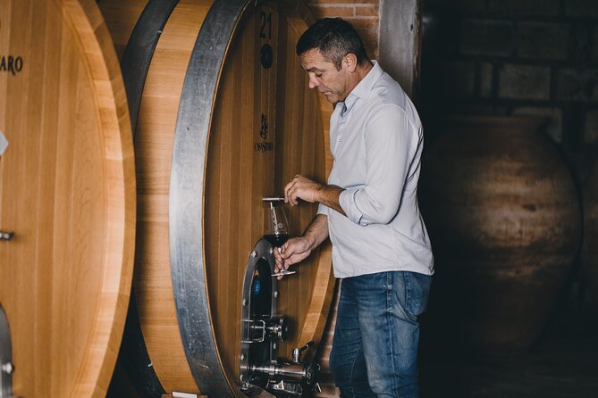 Wine Tasting and Winery Tour in Vesuvio National Park with Lunch - Key points to know before you go