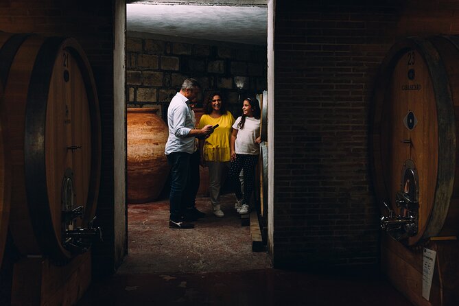 Wine Tasting and Winery Tour in Vesuvio National Park with Lunch - Why this Vesuvio winery tour feels special (and not touristy)