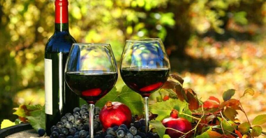 Wine Tasting Experience on the slopes of Vesuvius - Key things I’d highlight before you go