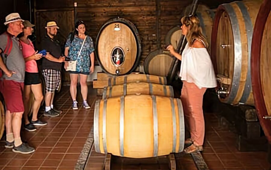 Wine Tasting Experience on the slopes of Vesuvius - At the winery: Lacryma Christi DOC tasting, guided and paired