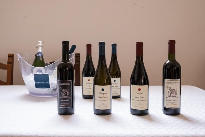 Wine Tasting in Campi Flegrei from Naples - Azienda Agricola Mario Portolano: vineyard walk with Vittoria and Mara