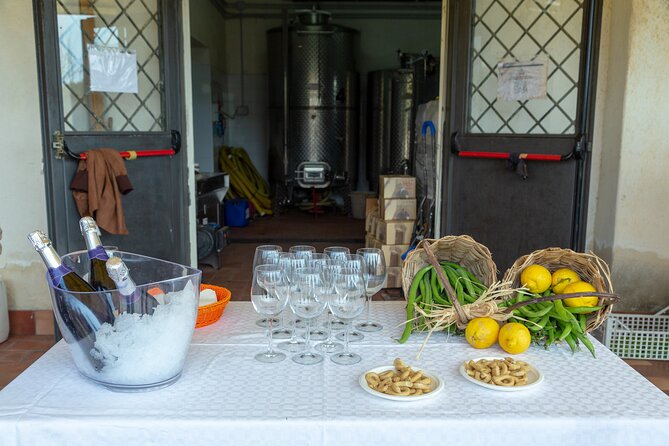 Wine Tasting in Campi Flegrei from Naples - The tasting experience: 4 wines, local pairings, and a sommelier-led flow