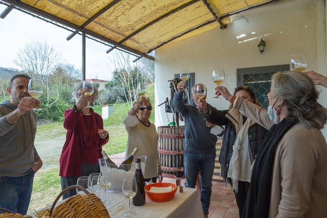 Wine Tasting in Campi Flegrei from Naples - Who this Campi Flegrei wine tasting fits best